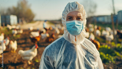 Canada Reports Its First Case Of Human Bird Flu