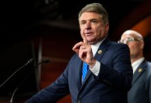 GOP Rep. Michael McCaul 'briefly detained' by police at airport for 'appearing intoxicated'