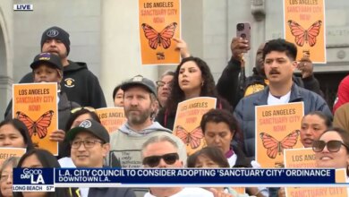 Los Angeles passes sanctuary city ordinance in wake of Trump election victory