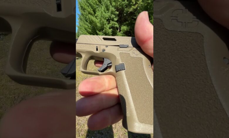 Shadow Systems MR920 Elite FDE (Would you carry it?)