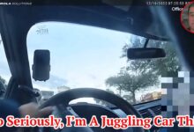 No, Seriously, I’m A Juggling A Car Thief!