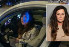 Democratic official drunkenly slurs, flaunts government position during DUI arrest: video