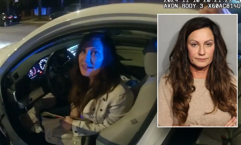 Democratic official drunkenly slurs, flaunts government position during DUI arrest: video