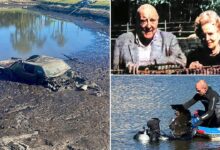 Car tied to wealthy NY couple missing for 44 years pulled from murky pond