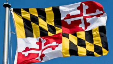 Weird laws in Maryland, including -0 fine for manufacturing, trading or selling 'stench bomb'