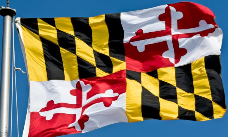 Weird laws in Maryland, including -0 fine for manufacturing, trading or selling 'stench bomb'