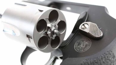 Best Concealed Carry Revolvers For Personal Defense