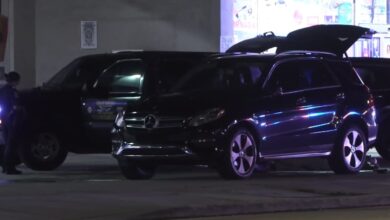 Mobile Car Mechanic Fatally Shoots Customer Armed With Machete During Attack