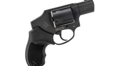 First Look: Taurus 650 Shrouded Hammer .357 Magnum