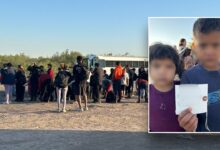 Young siblings discovered with address on piece of paper among massive group of illegals at border