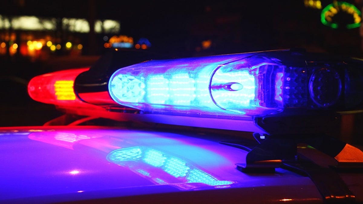 A close-up photo of police lights by night