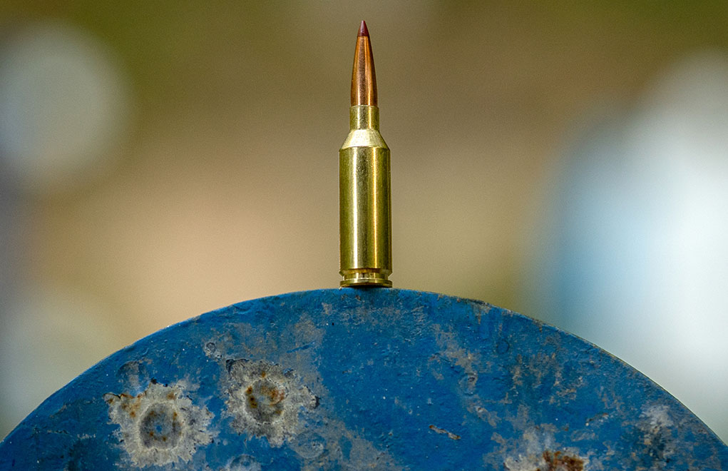 hornady 22 arc on target