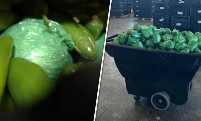 More than M in meth concealed in shipment of peppers seized at Texas-Mexico border