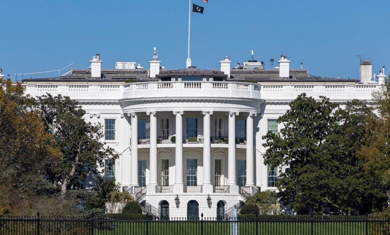 Woman arrested for attempting to climb fence outside White House