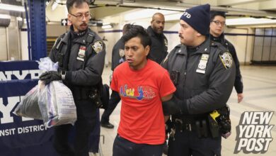 Sanctuary city New York pressured to make drastic change after illegal migrant allegedly burns woman alive