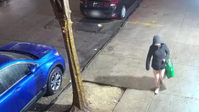 NYPD hunting for suspect after baby abandoned in bag on NYC street