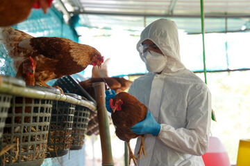 Bird Flu Mutation Raises Pandemic Red Flags