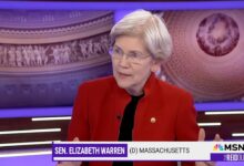 Elizabeth Warren's scary remark about United Healthcare CEO's murder is latest of her many crazy comments