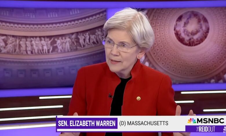 Elizabeth Warren's scary remark about United Healthcare CEO's murder is latest of her many crazy comments