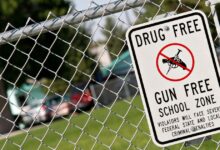 Wyoming Bill Proposes Enhanced Concealed Carry Permits for School Zones