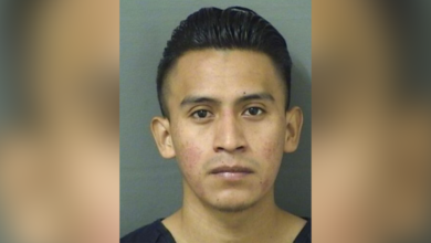 Illegal migrant charged with molesting Florida girl, 5, says family accused him over immigration status