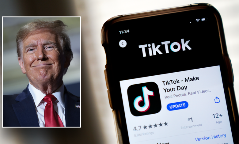 MAGA Republicans defend TikTok as 'conservative platform' as fate hangs in balance with Supreme Court