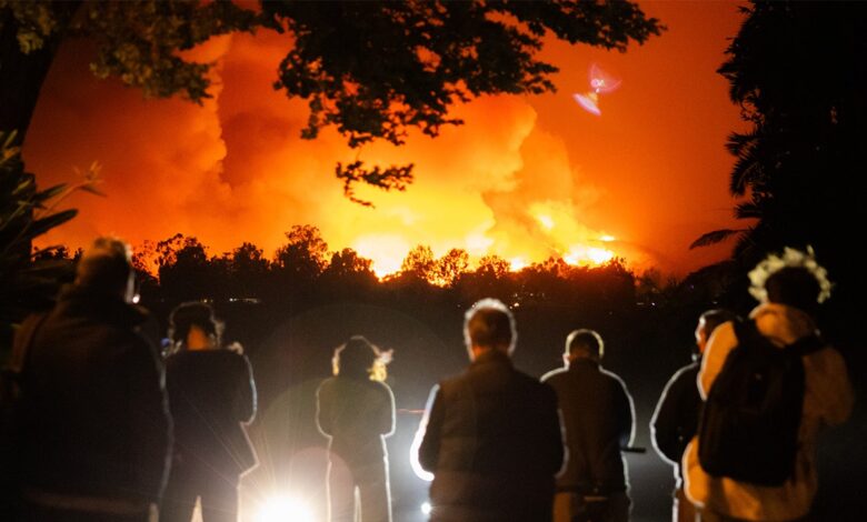 Los Angeles wildfires: City's infamous red tape preventing private security from helping homeowners, firms say