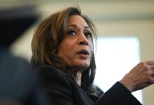 LAPD responds to Kamala Harris' California home in Palisades Fire evacuation zone, 2 men detained: reports