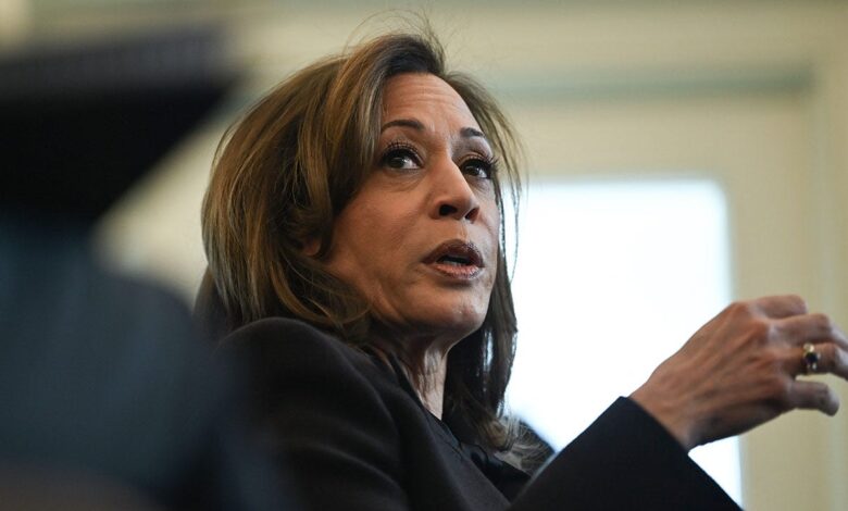 LAPD responds to Kamala Harris' California home in Palisades Fire evacuation zone, 2 men detained: reports