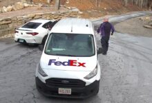 Wild video shows thief brazenly rip package right out of FedEx driver's arms in Massachusetts robbery