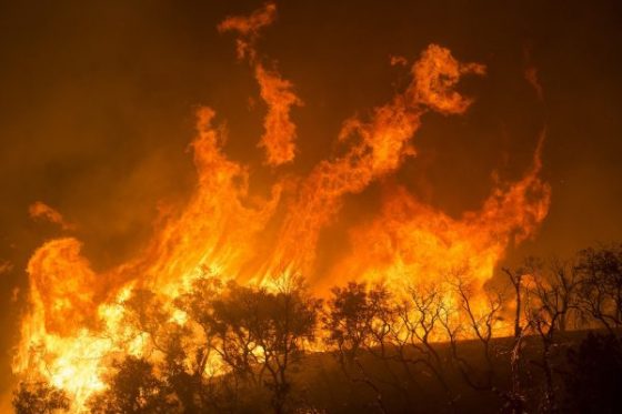 The Insurance Industry Is Going To Be Absolutely Devastated By The Los Angeles Fires