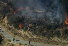 California wildfires: Suspect arrested in connection with brush fire quickly quashed by firefighters