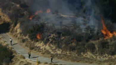 California wildfires: Suspect arrested in connection with brush fire quickly quashed by firefighters