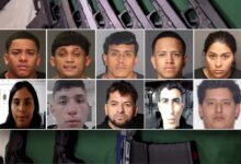 Migrant TDA gang member breaks officer’s arm as 10 indicted in massive guns, drug running operation: police