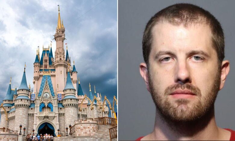 Fired Disney World employee pleads guilty to hacking menu, removing life-saving allergy information