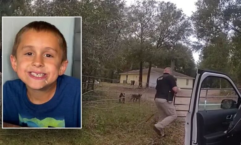 Florida boy, 8, 'maliciously mauled' to death by dogs he stopped to pet while out riding his bike: sheriff Florida boy, 8, 'maliciously mauled' to death by dogs he stopped to pet while out riding his bike: sheriff