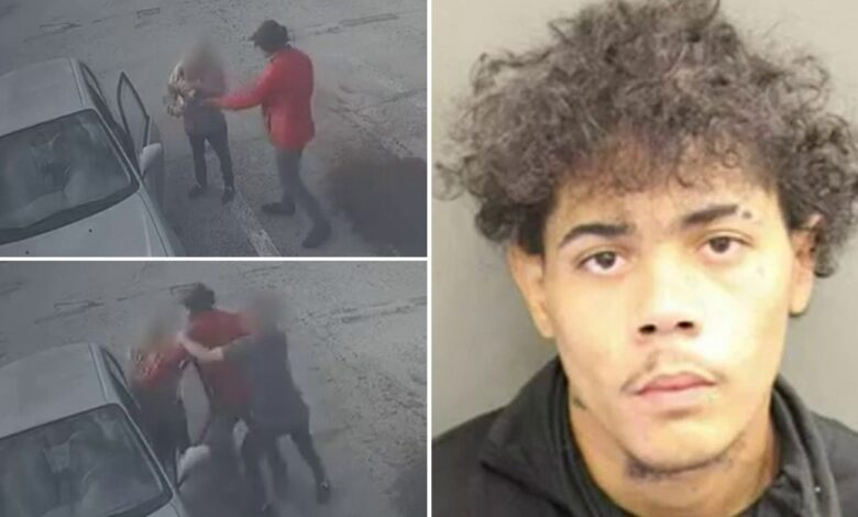 Florida man attacks elderly woman, robs her of lottery winnings: surveillance footage