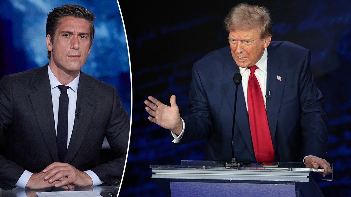 David Muir Trump