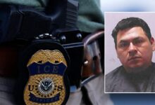 South Carolina drunk driver arrested in December had been deported 3 times: affidavit