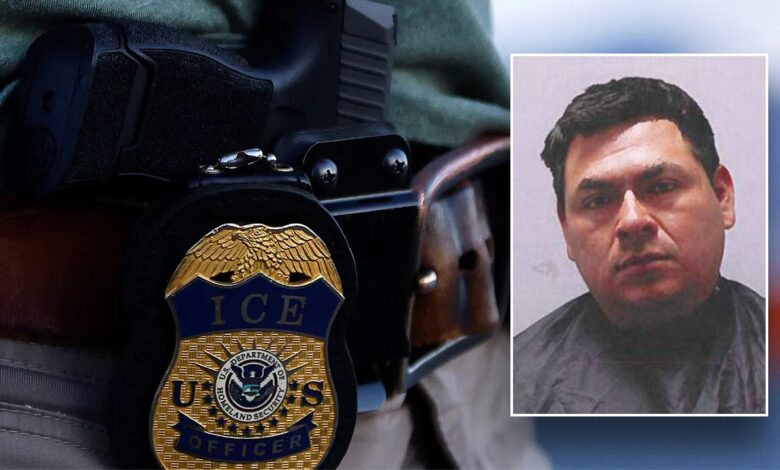 South Carolina drunk driver arrested in December had been deported 3 times: affidavit