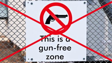 Wyoming House Passes Bill to Eliminate Many Gun-Free Zones, Heads to Senate