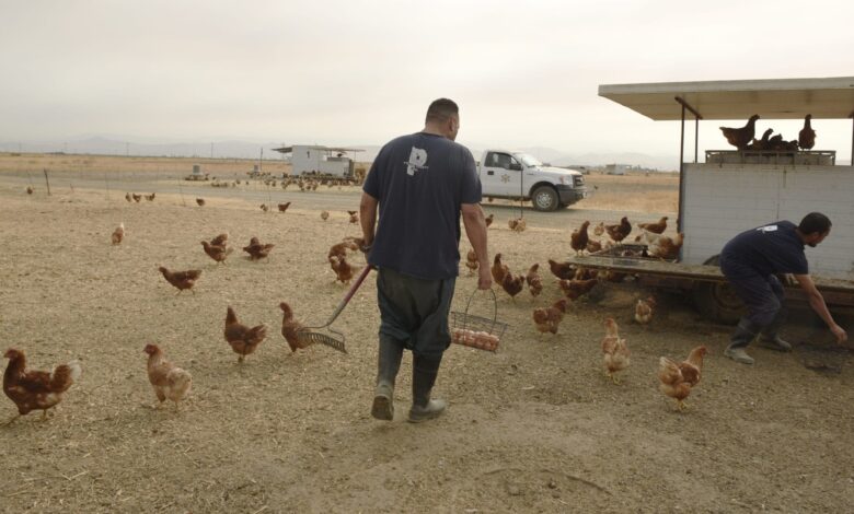 California sheriff puts accused hardened criminals to work at taxpayers’ benefit California sheriff puts accused hardened criminals to work at taxpayers’ benefit