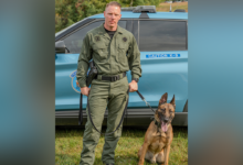 'Profound reminder' of courage: Maine police K-9 shot, killed in the line of duty