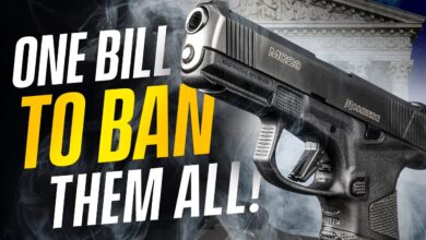 Update: One Gun Bill To BAN THEM ALL? – Colorado Senate Just Amended This Bill, What’s Next?