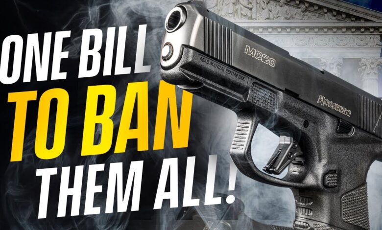 Update: One Gun Bill To BAN THEM ALL? – Colorado Senate Just Amended This Bill, What’s Next?