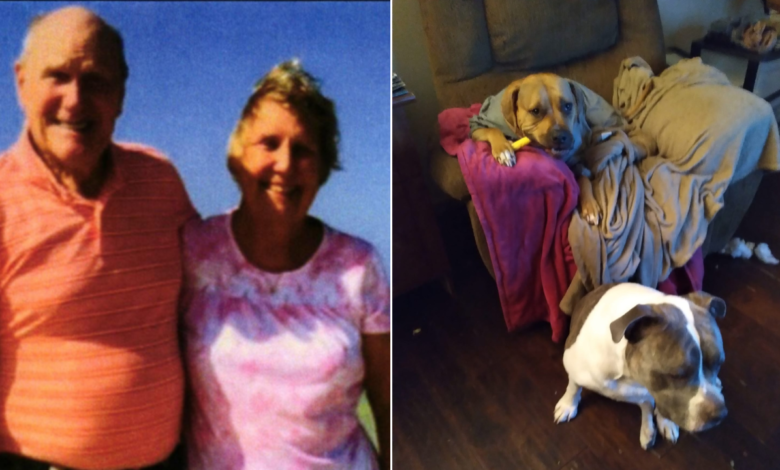 Ohio grandmother mauled to death by pit bulls while ‘peacefully gardening’: lawsuit