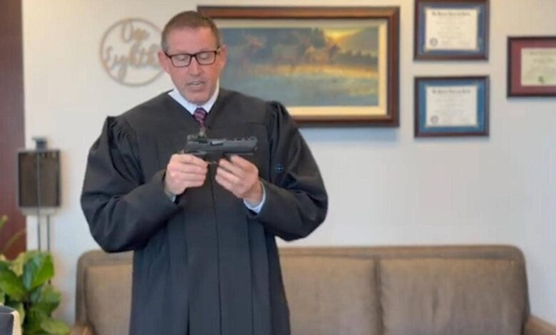 WATCH: Trump-appointed judge chides colleagues' ignorance on guns in unique video dissent