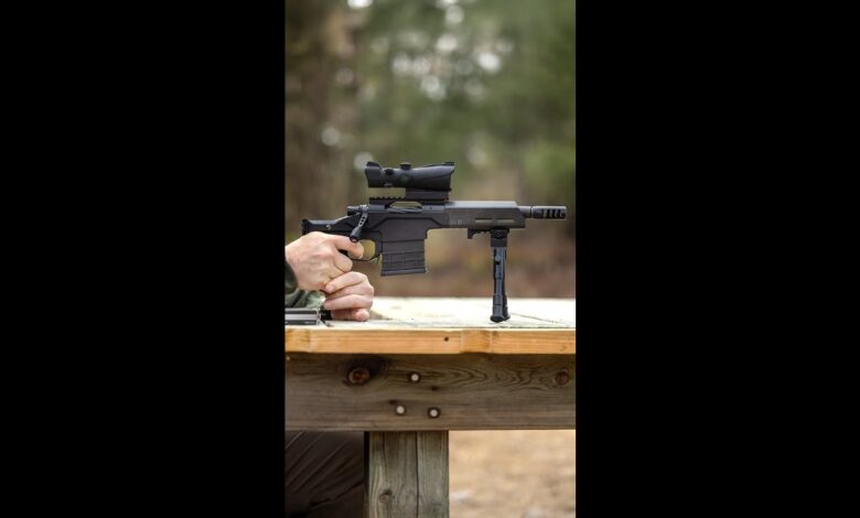 Would you want one? (CHRISTENSEN ARMS 14)
