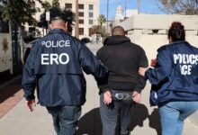 Sanctuary city lawyers plot to help illegal migrants evade ICE in exposed group email