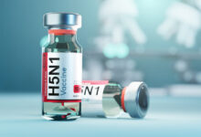 Mass Poultry Vaccination For Bird Flu Is A Possibility